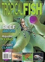 Tropical Fish Hobbyist – August 2008