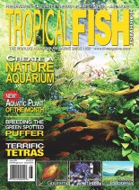 Tropical Fish Hobbyist – August 2009