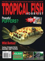 Tropical Fish Hobbyist – December 2007