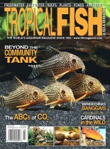 Tropical Fish Hobbyist – February 2009
