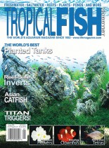 Tropical Fish Hobbyist – January 2008