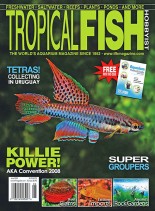 Tropical Fish Hobbyist – June 2008