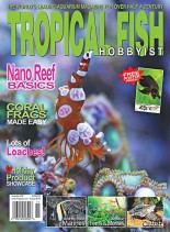 Tropical Fish Hobbyist – November 2007