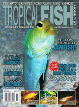 Tropical Fish Hobbyist – November 2008