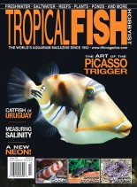 Tropical Fish Hobbyist – October 2008