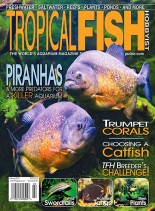Tropical Fish Hobbyist – February 2010