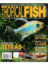 Tropical Fish Hobbyist – December 2010