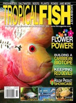 Tropical Fish Hobbyist – November 2009