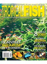 Tropical Fish Hobbyist – November 2010