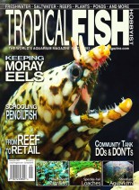 Tropical Fish Hobbyist – September 2009