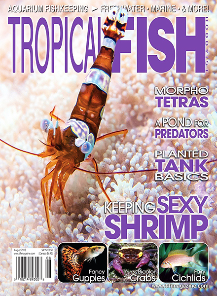 Tropical Fish Hobbyist – August 2012
