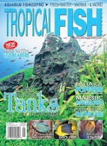 Tropical Fish Hobbyist – January 2012