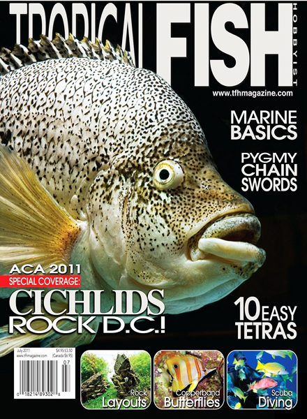 Tropical Fish Hobbyist – July 2011