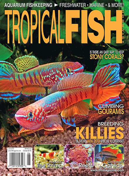 Tropical Fish Hobbyist – June 2012