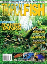 Tropical Fish Hobbyist – November 2012