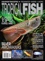 Tropical Fish Hobbyist – February 2013
