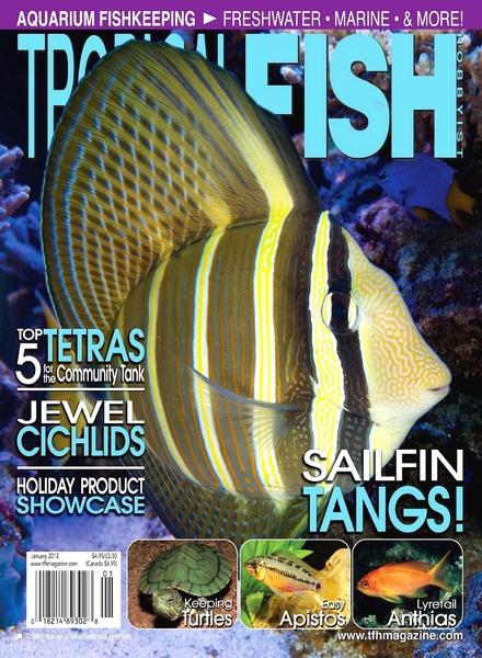 Tropical Fish Hobbyist – January 2013