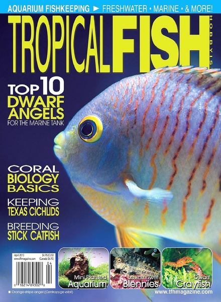 Tropical Fish Hobbyist – April 2013