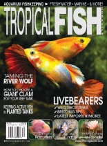 Tropical Fish Hobbyist – May 2013