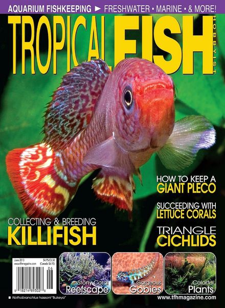 Tropical Fish Hobbyist – June 2013