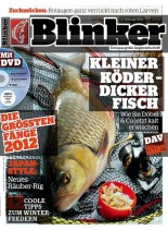 Blinker – Februar 2013