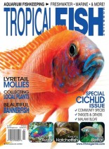Tropical Fish Hobbyist – July 2013