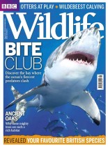 BBC Wildlife Magazine – August 2013