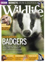 BBC Wildlife Magazine – October 2013