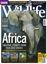 BBC Wildlife – February 2013