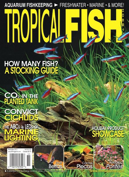 Tropical Fish Hobbyist – November 2013