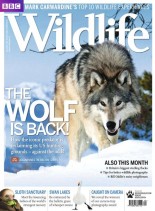 BBC Wildlife – December 2011
