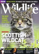 BBC Wildlife – September 2010