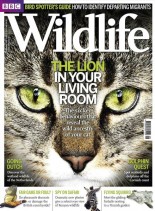 BBC Wildlife – September 2012