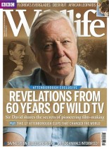 BBC Wildlife – October 2012