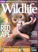 BBC Wildlife Magazine – August 2011