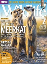 BBC Wildlife Magazine – December 2013