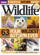 BBC Wildlife – November 2013