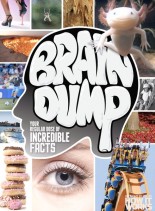 How It Works Brain Dump – Issue 5, 2013