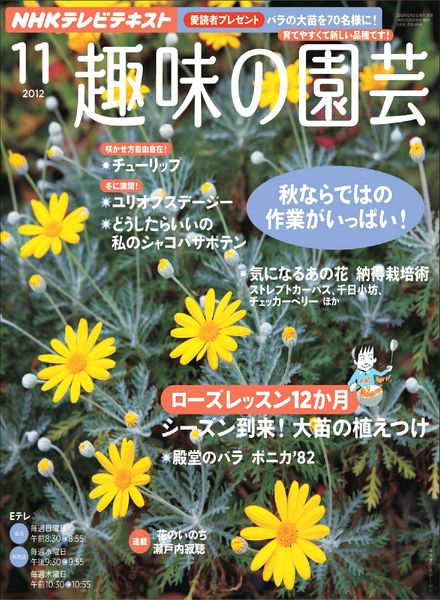 NHK Magazine – November 2012
