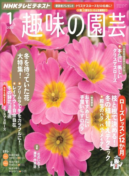 NHK Magazine January 2013