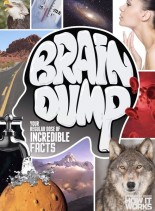 How It Works Brain Dump – Issue 8, 2014