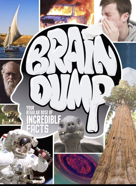How It Works Brain Dump – Issue 10, 2014
