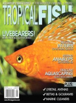 Tropical Fish Hobbyist – May 2014