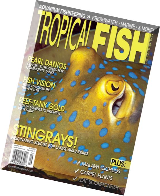 Tropical Fish Hobbyist – September 2014