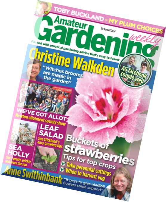 Amateur Gardening UK – 30 August 2014