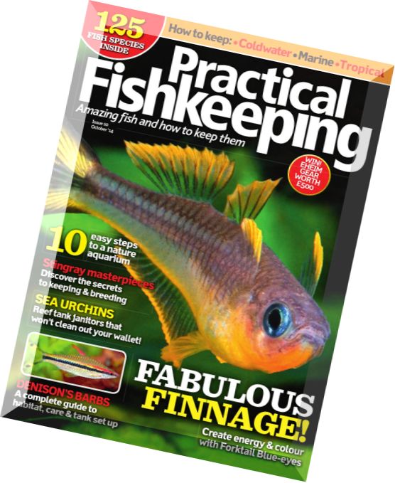 Practical Fishkeeping – October 2014