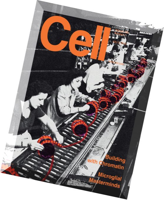 Cell – 3 July 2014