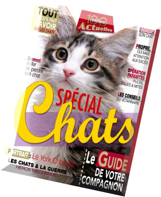 100 Idees Actuelles N 2 – Special Chats 2014