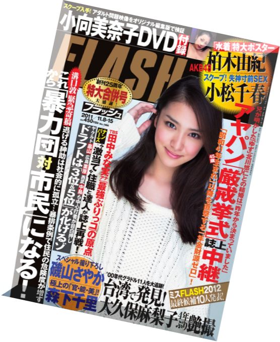Flash Magazine 2011 – N 1166