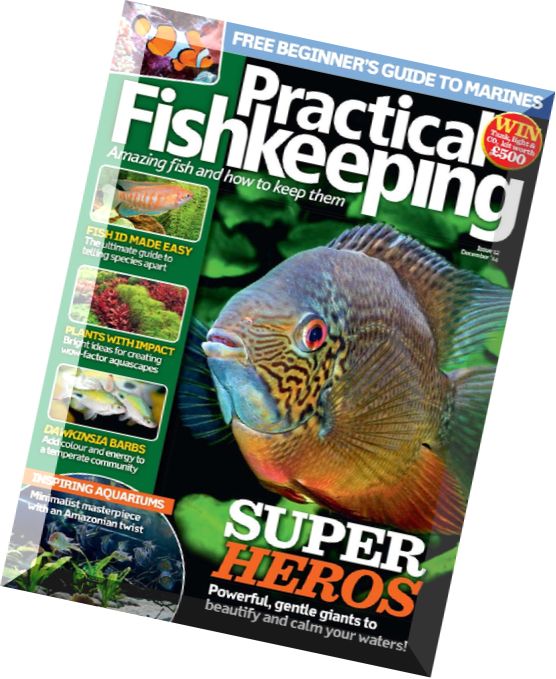 Practical Fishkeeping – December 2014